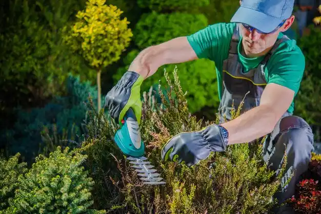 landscaping services Scribner
